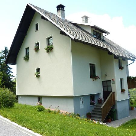Apartments Pri Marjetki 采尔克诺 外观 照片