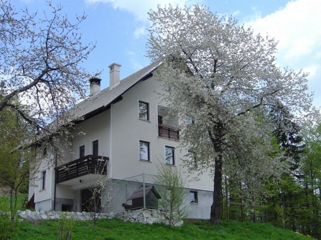 Apartments Pri Marjetki 采尔克诺 外观 照片