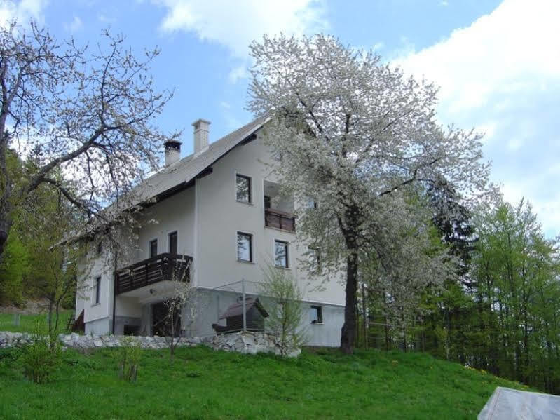 Apartments Pri Marjetki 采尔克诺 外观 照片